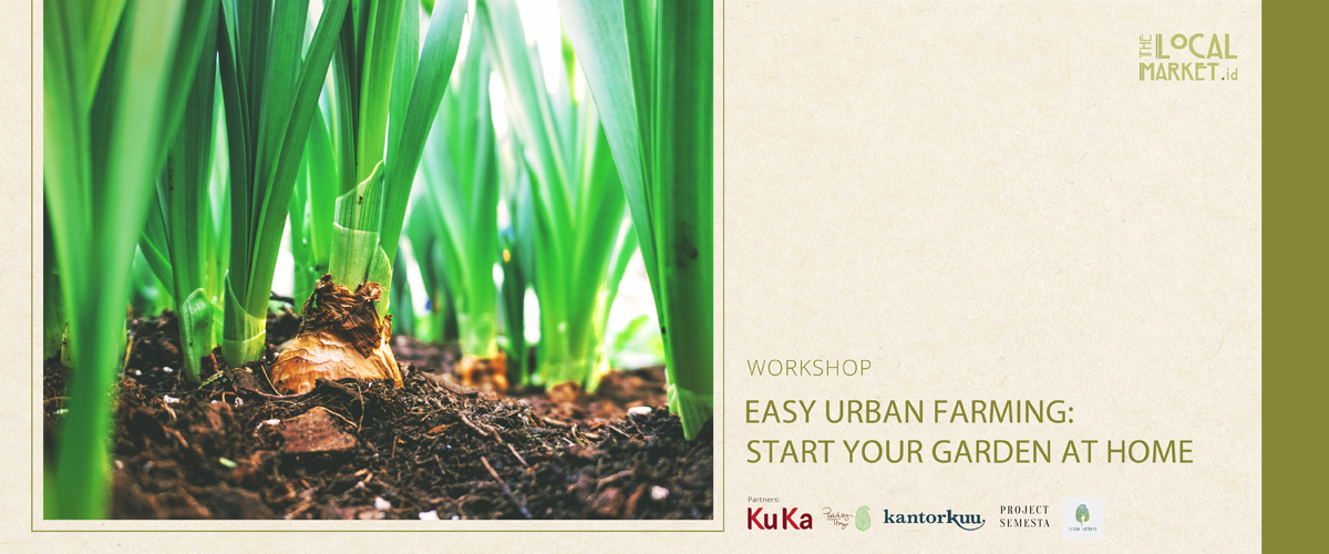 EASY URBAN FARMING: START YOUR GARDEN AT HOME