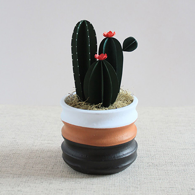 MAKING PAPER CACTI CLASS